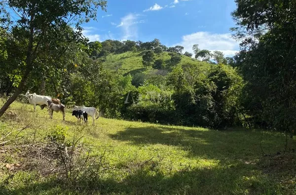 Fazenda para Venda - URUACU, Uruacu - Foto 22