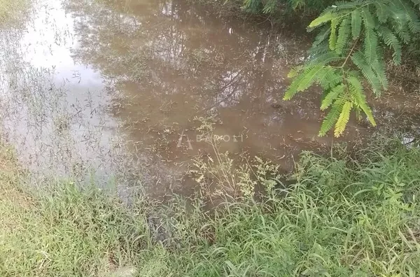 Fazenda para Venda - URUACU, Uruacu