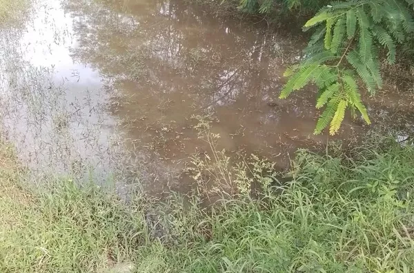 Fazenda para Venda - URUACU, Uruacu - Foto 4