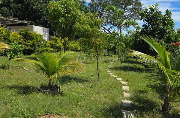 Chácara-Sítio para Venda - COCALZINHO DE GOIAS, Cocalzinho De Goias