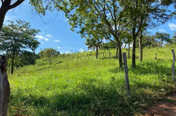 Fazenda para Venda - URUACU, Uruacu - Foto 29