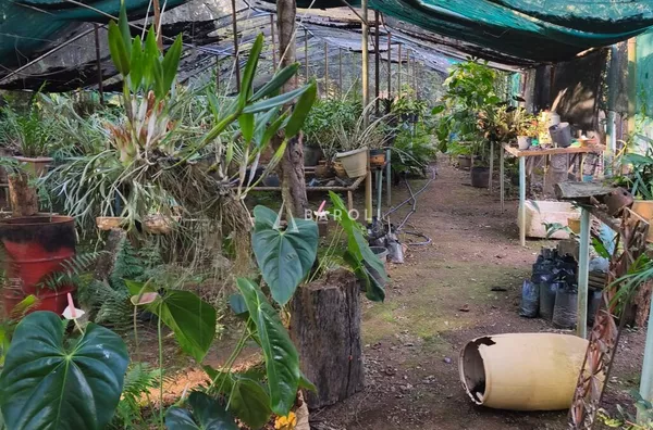 Área com aproximadamente 8.000 m² em Arniqueiras - Foto 20