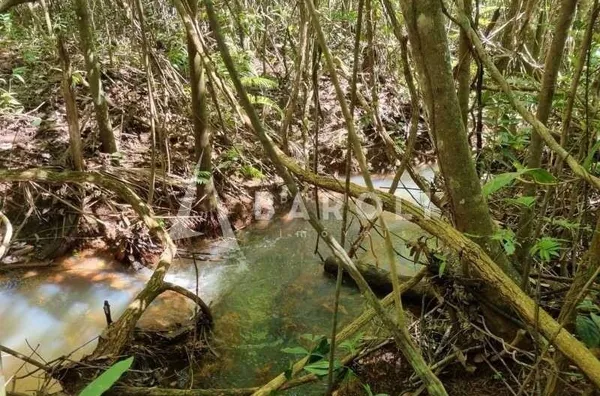 Chácara-Sítio para Venda - PARANOA, Paranoa - Foto 11