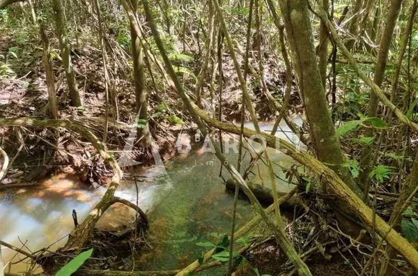 Chácara-Sítio para Venda - PARANOA, Paranoa - Foto 11