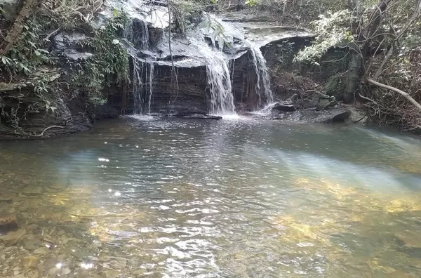 Fazenda para Venda - URUACU, Uruacu - Foto 2