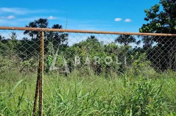Chácara-Sítio para Venda - PARANOA, Paranoa - Foto 14