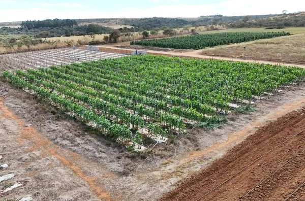 chácara a venda setor bela vista Mansões recreio - Foto 6