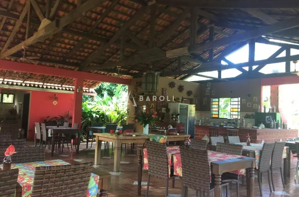 Chácara-Sítio para Venda - PORTO DE CIMA, Porto De Cima - Foto 3