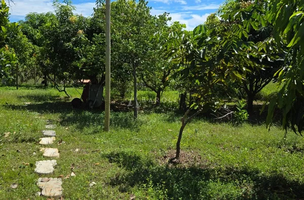 Chácara-Sítio para Venda - COCALZINHO DE GOIAS, Cocalzinho De Goias