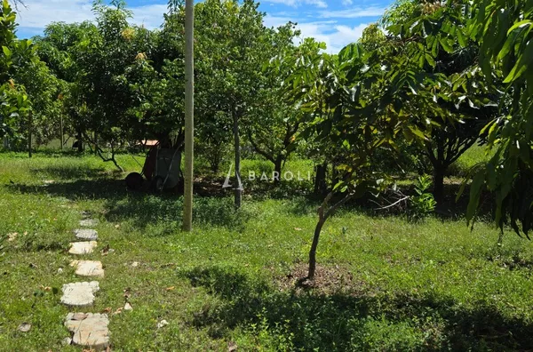 Chácara-Sítio para Venda - COCALZINHO DE GOIAS, Cocalzinho De Goias - Foto 4
