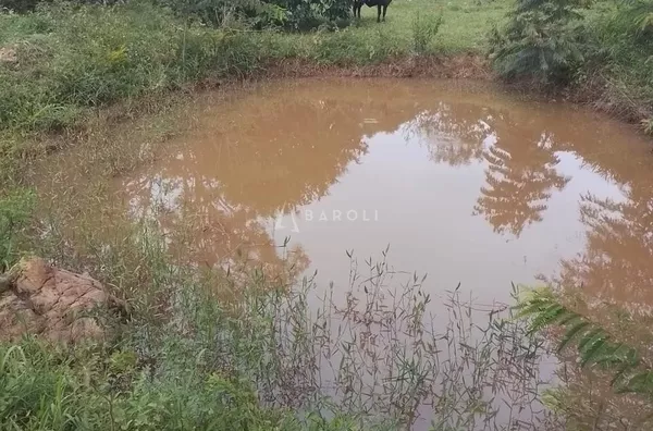 Fazenda para Venda - URUACU, Uruacu - Foto 13