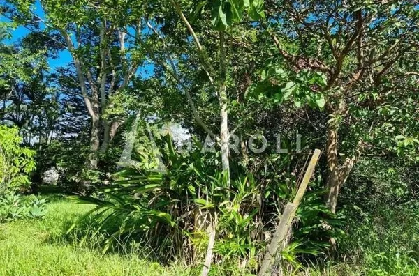 Chácara-Sítio para Venda - PARANOA, Paranoa - Foto 10