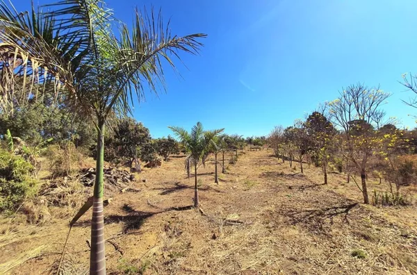 Chácara-Sítio para Venda - CRIXA, Sao Sebastiao - Foto 5