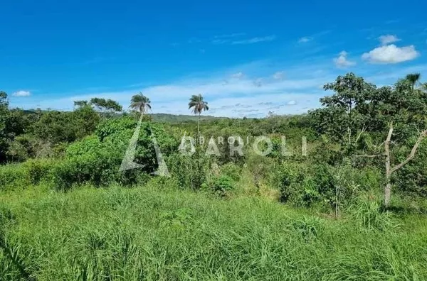 Chácara-Sítio para Venda - PARANOA, Paranoa - Foto 4