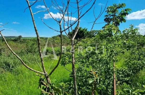 Chácara-Sítio para Venda - PARANOA, Paranoa - Foto 5
