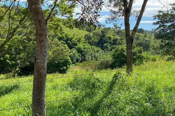 Fazenda para Venda - URUACU, Uruacu - Foto 28