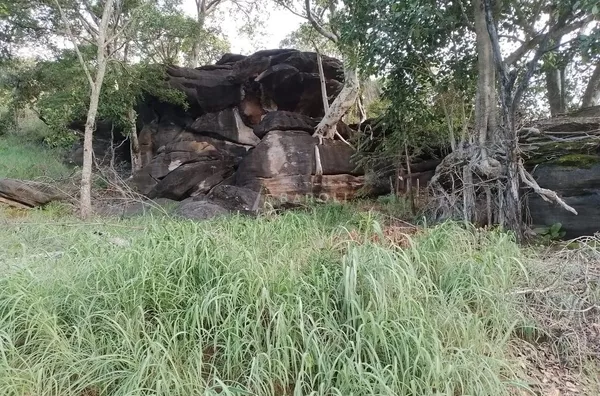 Fazenda para Venda - URUACU, Uruacu - Foto 8