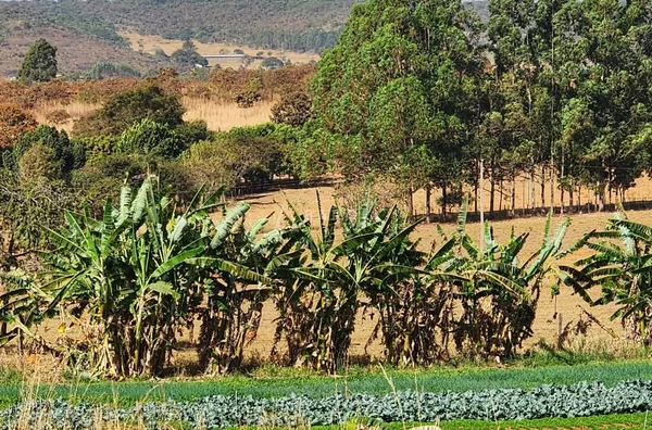 chácara a venda setor aguilhada São Sebastião 