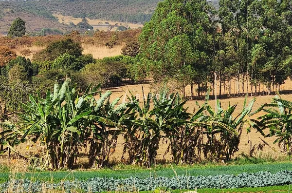 chácara a venda setor aguilhada São Sebastião 