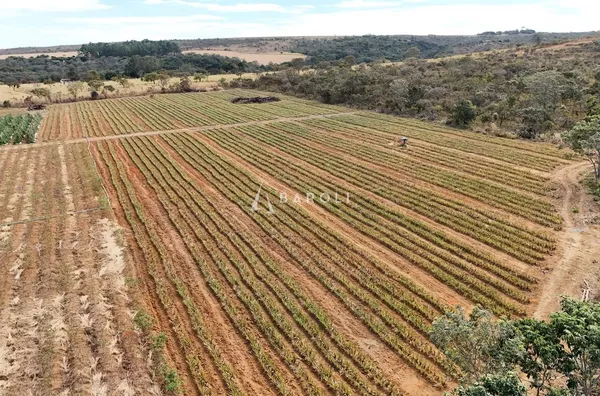 PLANALTINA DE GOIÁS | 13,9 HECTARES | ENERGIA SOLAR | SISTEMA DE IRRIGAÇÃO - Foto 12
