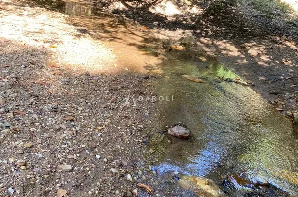Fazenda para Venda - URUACU, Uruacu - Foto 3