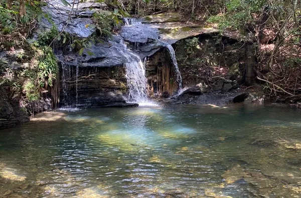 Fazenda para Venda - URUACU, Uruacu - Foto 1
