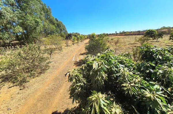 Chácara-Sítio para Venda - CRIXA, Sao Sebastiao - Foto 10