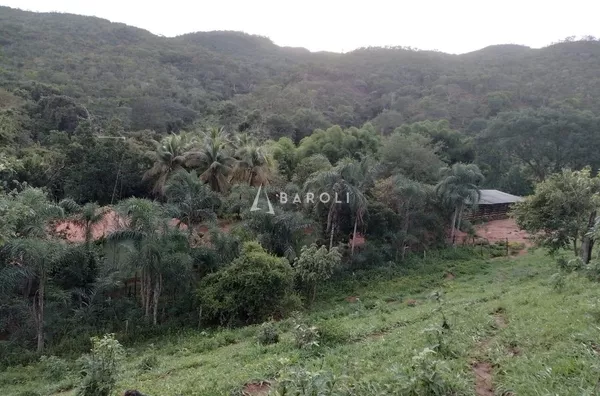 Fazenda para Venda - URUACU, Uruacu - Foto 7