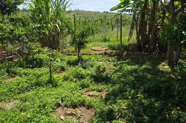 Chácara-Sítio para Venda - COCALZINHO DE GOIAS, Cocalzinho De Goias - Foto 6