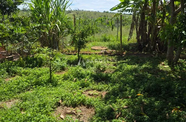 Chácara-Sítio para Venda - COCALZINHO DE GOIAS, Cocalzinho De Goias - Foto 6
