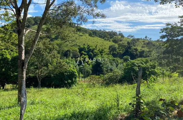 Fazenda para Venda - URUACU, Uruacu - Foto 25