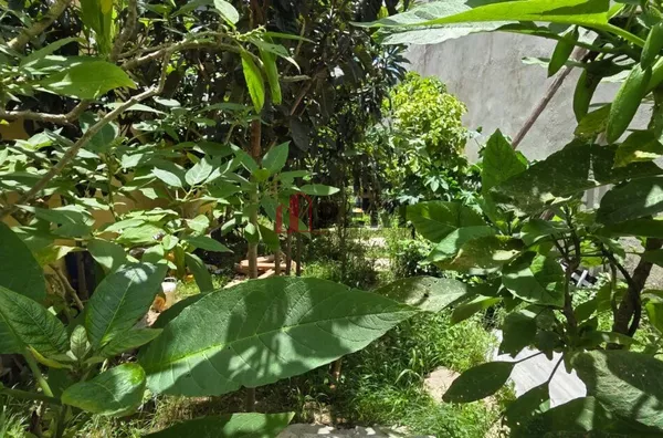 Terreno para venda,  Real Park, Caieiras