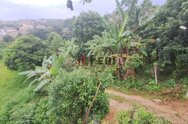 Terreno para venda,  Estância Lago Azul, Franco Da Rocha - Foto 5