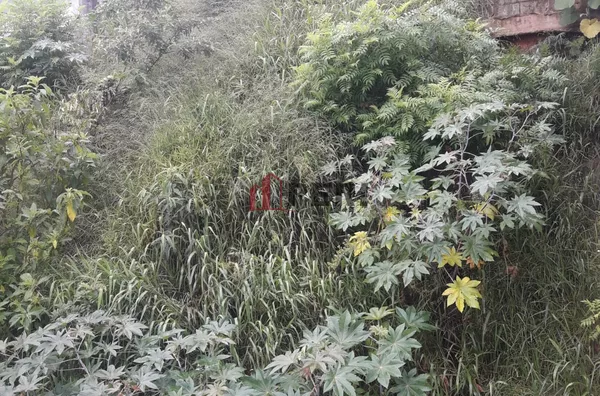 Terreno para venda PARQUE MUNHOS FRANCO DA ROCHA