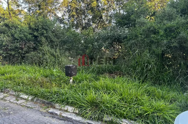 Terreno para venda SERPA CAIEIRAS - Foto 3