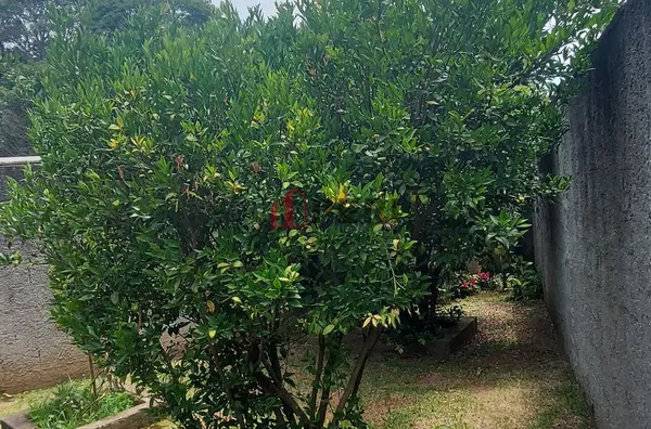 Casa para venda JARDIM LUÍZA FRANCO DA ROCHA - Foto 4