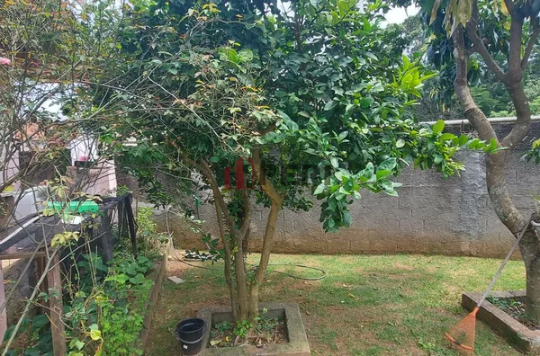 Casa para venda JARDIM LUÍZA FRANCO DA ROCHA - Foto 3