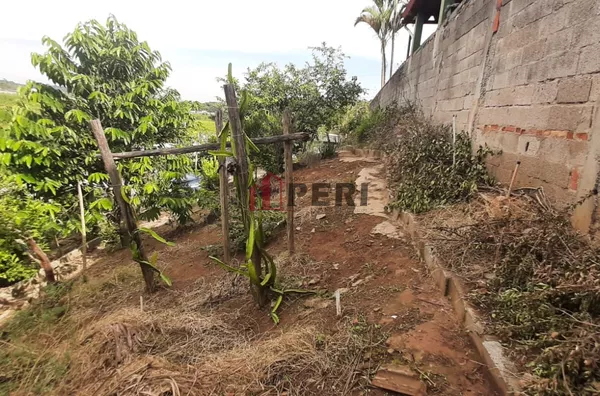 Terreno para venda VILA INÁCIO São Paulo - Foto 5