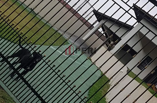 Chácara para venda REGIÃO CENTRAL CAIEIRAS - Foto 2