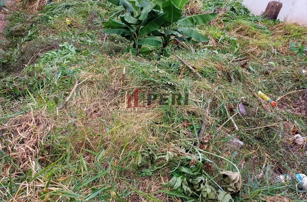 Terreno para venda JARDIM LUCIANA FRANCO DA ROCHA - Foto 2