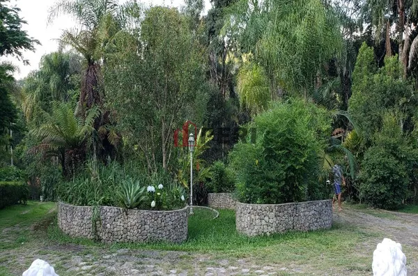 Sítio para venda MATO DENTRO MAIRIPORÃ - Foto 6