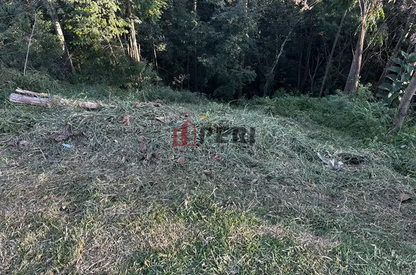 Terreno para venda SERPA CAIEIRAS - Foto 2