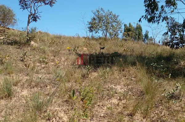 Terreno para venda ESTÂNCIA GREEN VALLEY FRANCO DA ROCHA - Foto 6