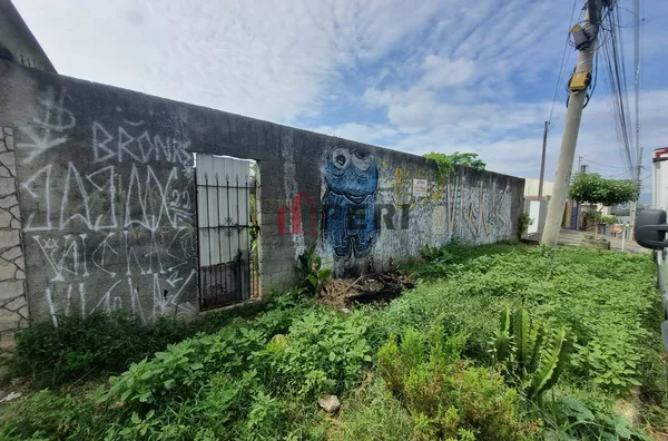 Terreno para venda VILA ELIZA FRANCO DA ROCHA - Foto 3