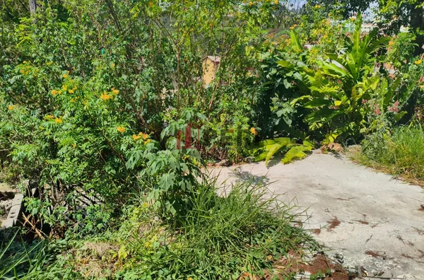 Casa para venda CHÁCARA SÃO LUIZ FRANCO DA ROCHA - Foto 3