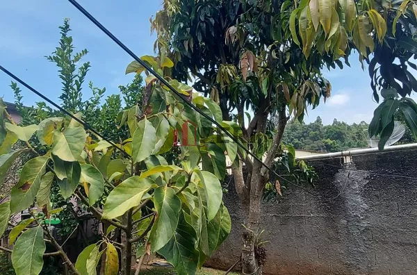 Casa para venda JARDIM LUÍZA FRANCO DA ROCHA - Foto 5