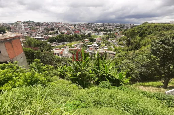 Terreno para venda CHÁCARA SÃO LUIZ FRANCO DA ROCHA - Foto 6