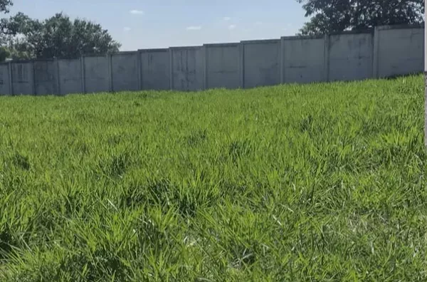 Terreno para venda,  Loteamento Residencial Barão De Tremembé, Tremembe - Foto 5