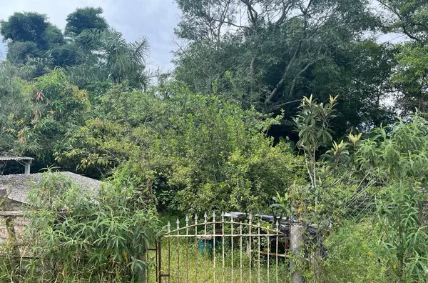 Chácara para venda, 1 quarto(s),  Padre Eterno, Tremembe - Foto 4