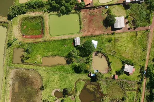 Chácara para venda em Santa Terezinha De Itaipu